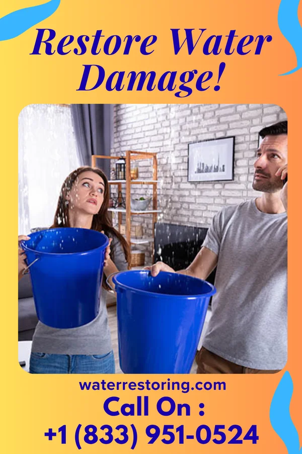 water restoration Precision Extraction Inc Oxford