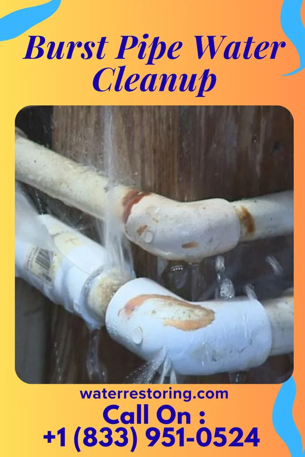 Burst Pipe Water Cleanup in Oxford, NE