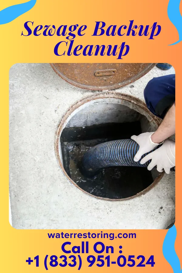 Sewage Backup Cleanup in Oxford, NE
