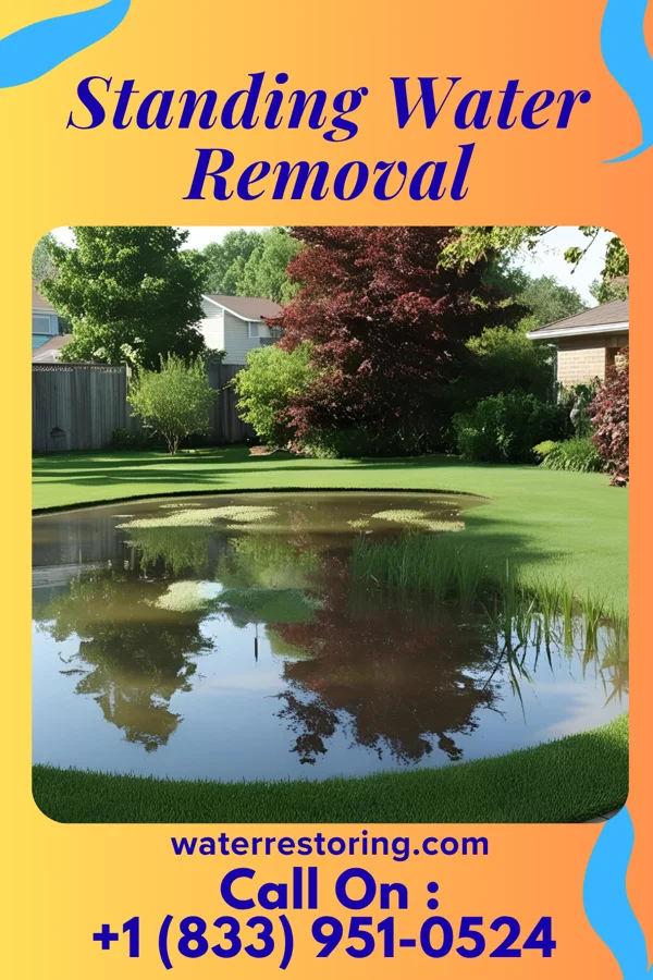 Standing Water Removal in Oxford, NE